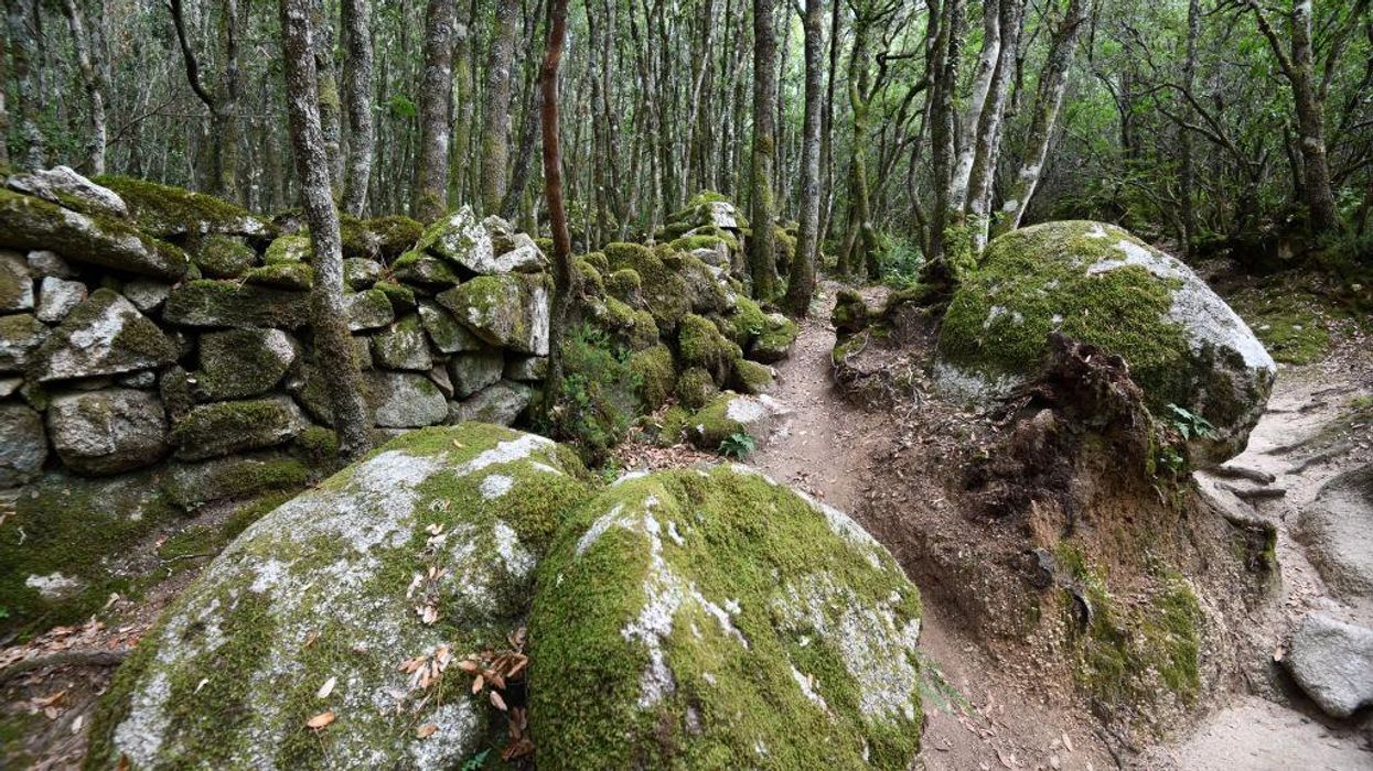 Transforming to an Ecological Civilization: The Alternative Is Unthinkable