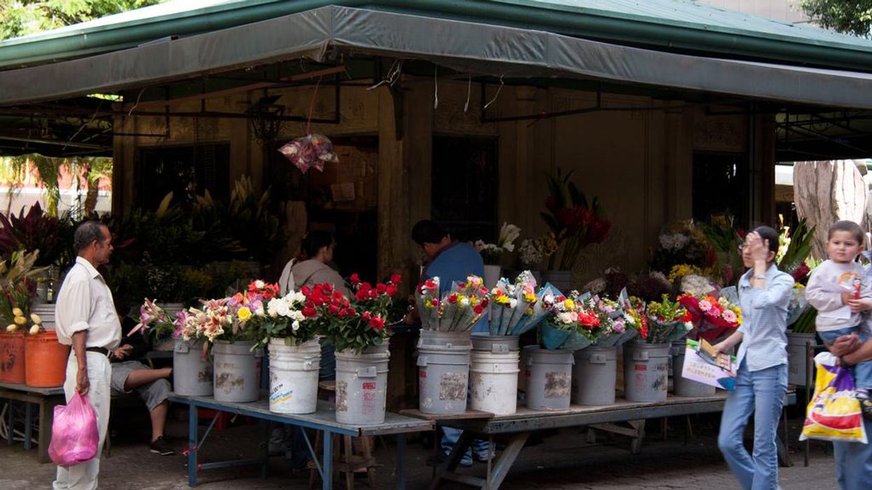 Averting the Apocalypse: Lessons from Costa Rica