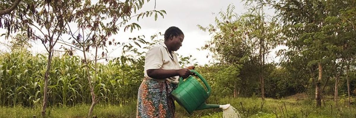 Why Agricultural Carbon Offsets Can't Play a Role in International Climate Action