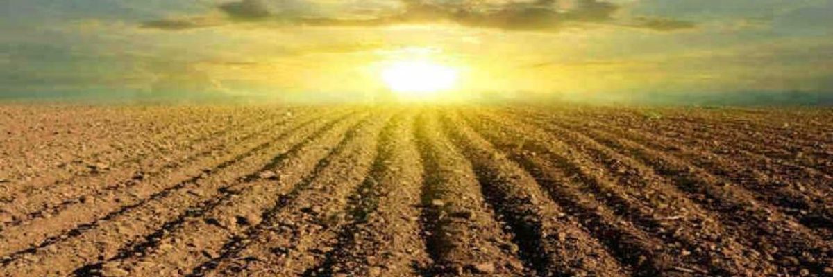 Senator Warren's Push for Climate Risk Disclosure