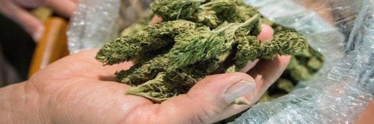 Canadian Users of Legalized Marijuana Could Face Lifetime Bans From US, Warns Top Trump Border Official