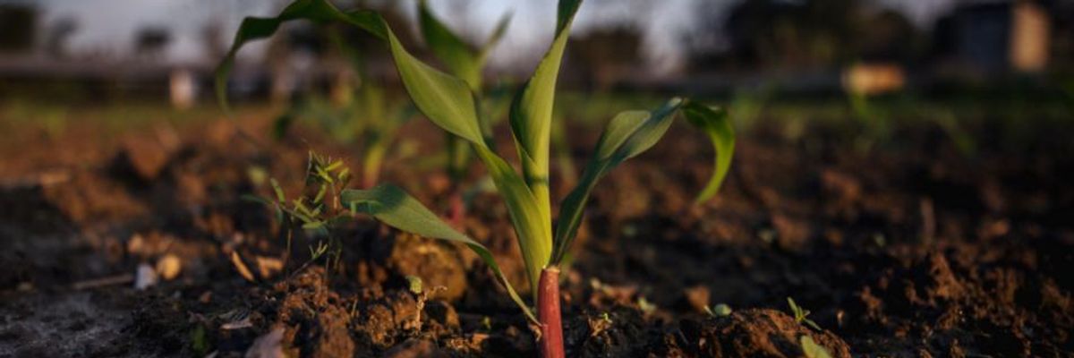 'Few Things Matter More to Humans': UN Report Says We Must Protect and Restore Biodiversity of World's Soil