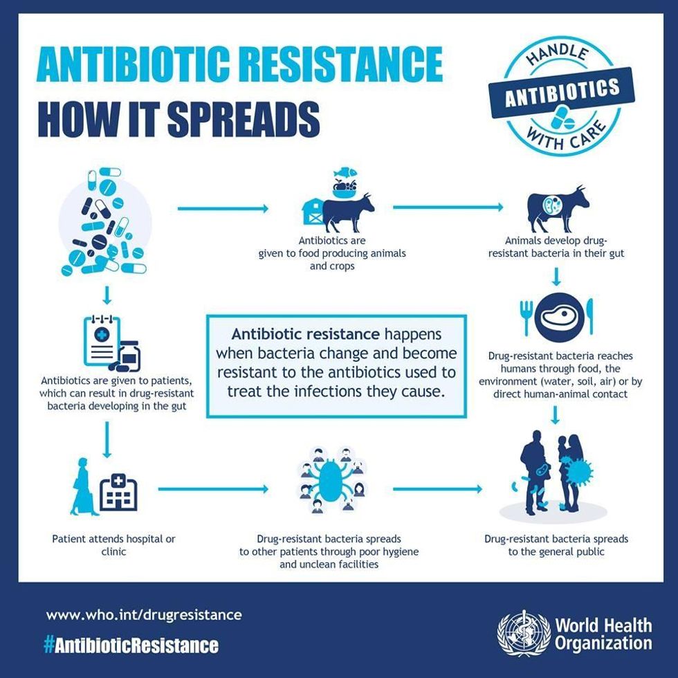 WHO Antibiotic Resistance Graphic