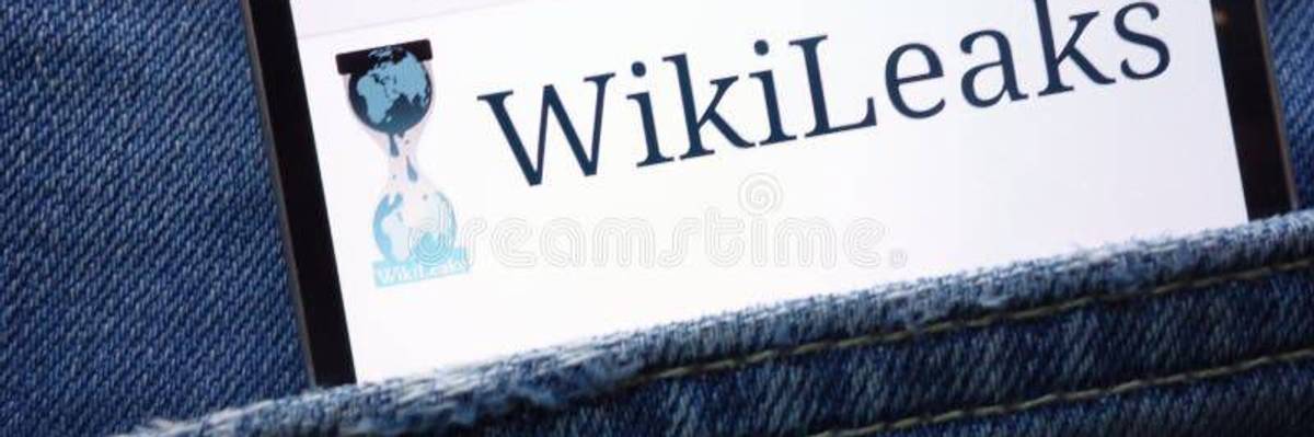 wikileaks website