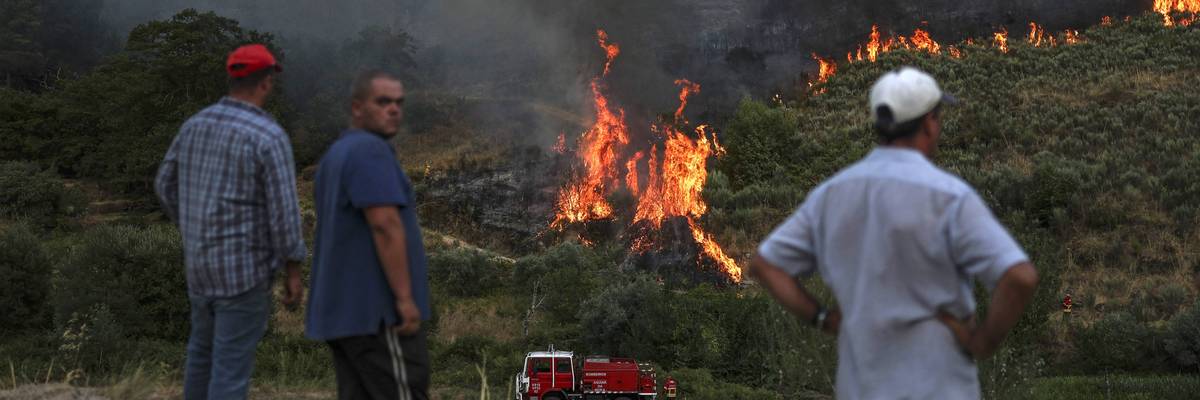 Wildfire Portugal