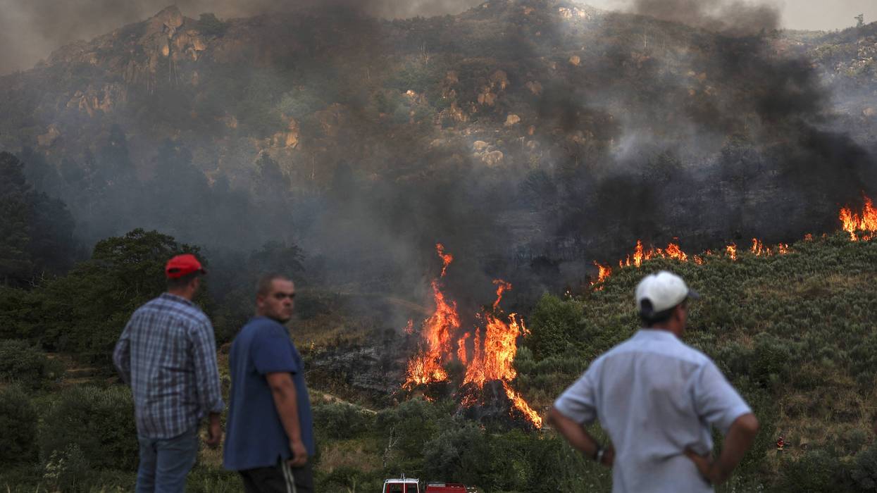Wildfire Portugal