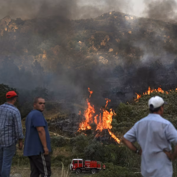 Wildfire Portugal