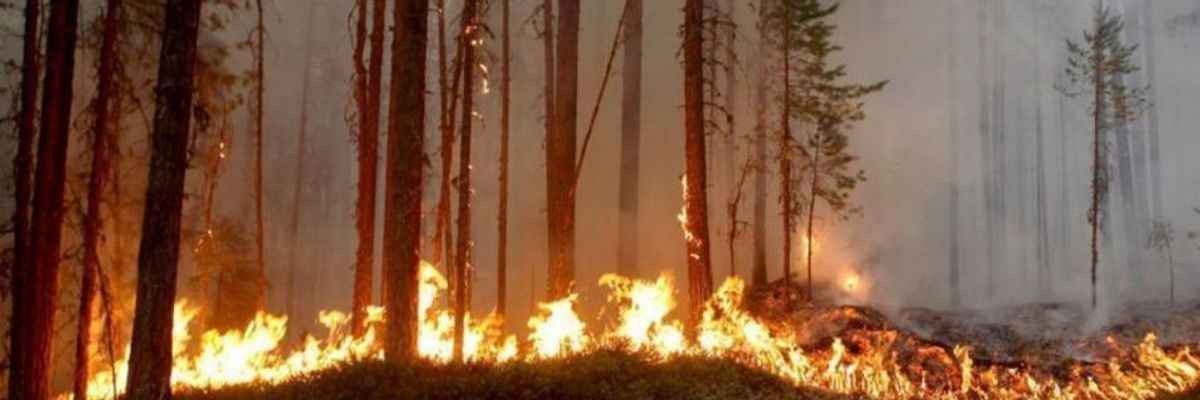 As Wildfires Rage and Heat Records Broken Worldwide, Corporate Media Urged to Cover Climate Crisis' Link to Extreme Weather