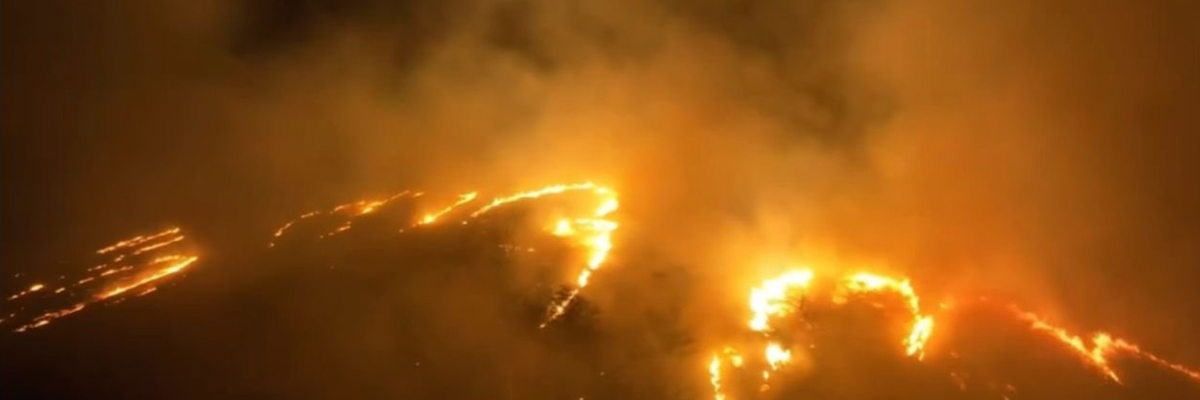 Campaigner Blasts Climate-Denying 'Arsonists' as Maui Fires Kill at Least 36