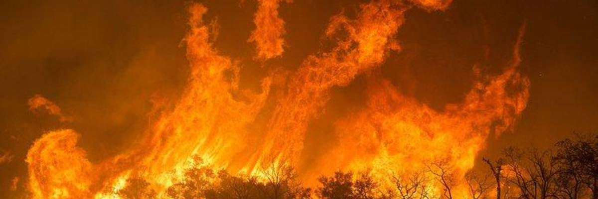 Leaked Documents Show Brazil's Bolsonaro Has Grave Plans for Amazon Rainforest