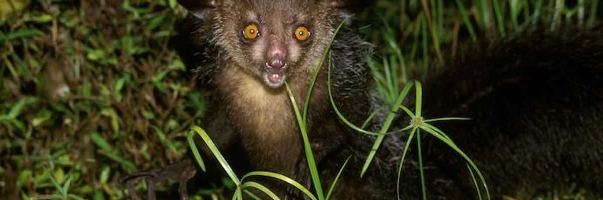 Human Footprint Threatening Nearly 50 Billion Years of Cumulative Evolutionary History: Study