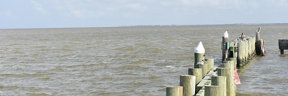 Can 'Powerless Nobodies' Fight the Corporate Powers?