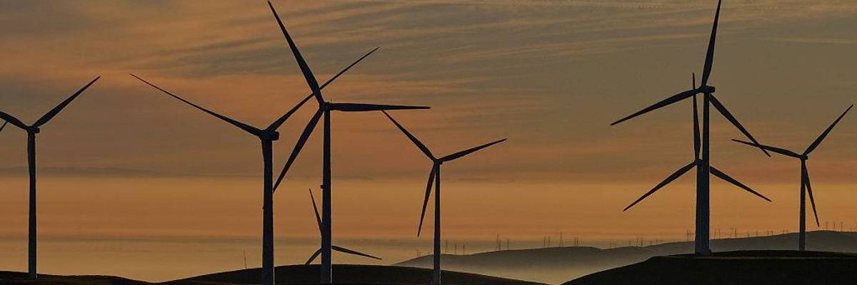 Critics Hammer Trump Admin's 'Taxpayer Funded Bribe' to Kill Massive Wind Energy Project