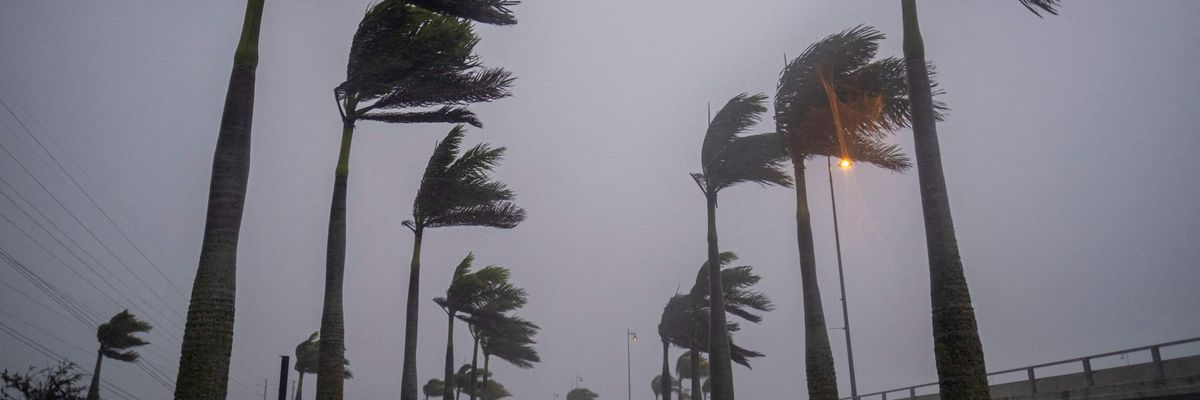 Winds blow palm trees ahead of Hurricane Ian