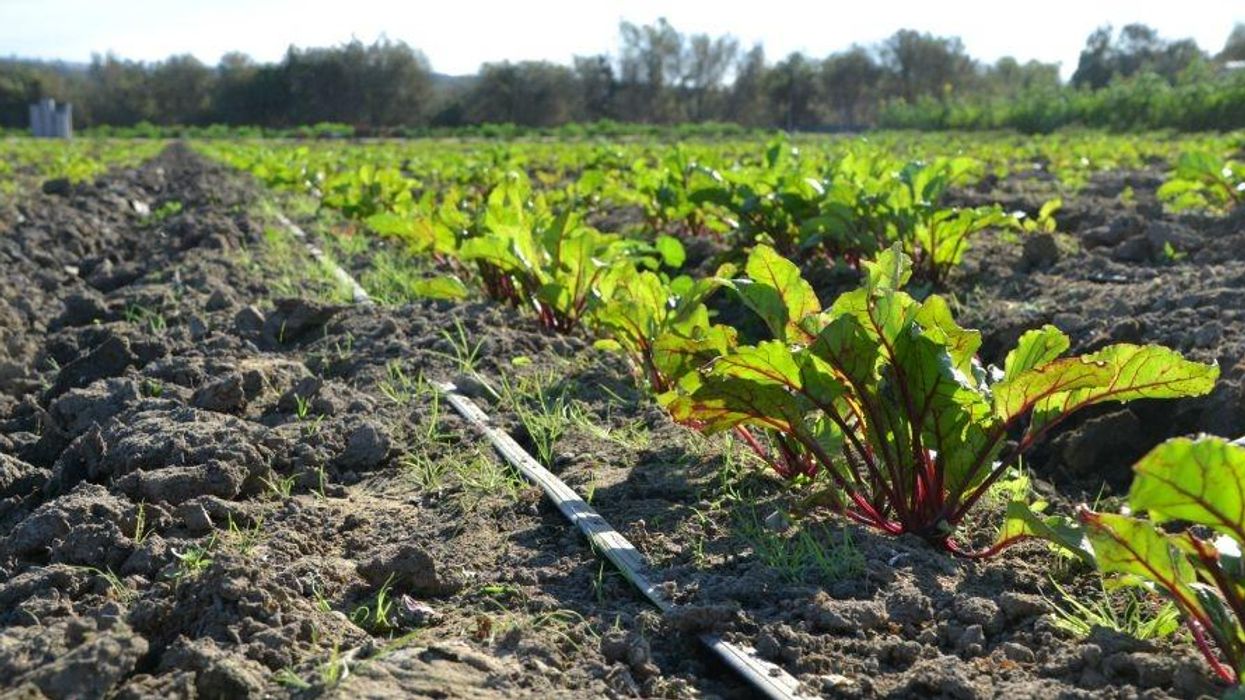 A Roadmap for the Biden-Harris Administration: Redesigning Farm Systems for the Climate Crisis