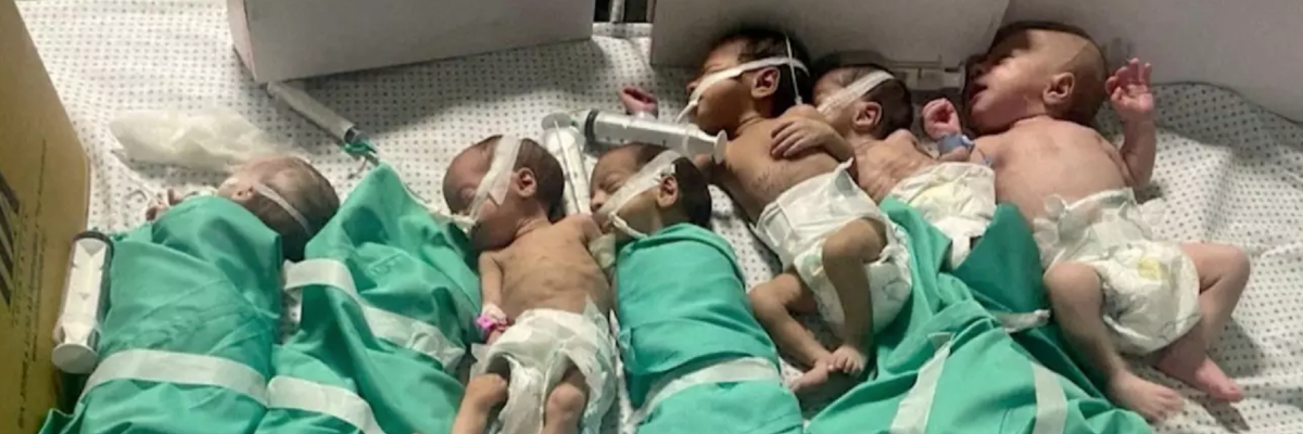 With incubators shut down, pre-mature babies in Gaza lie together on a hospital bed