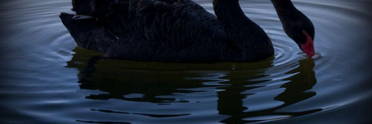 Risk, Climate Change, and Black Swans