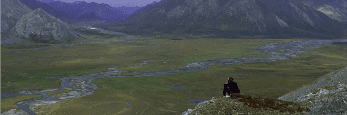 Senate Republicans (and One Democrat) Team Up to Open Arctic to Big Oil Plunder