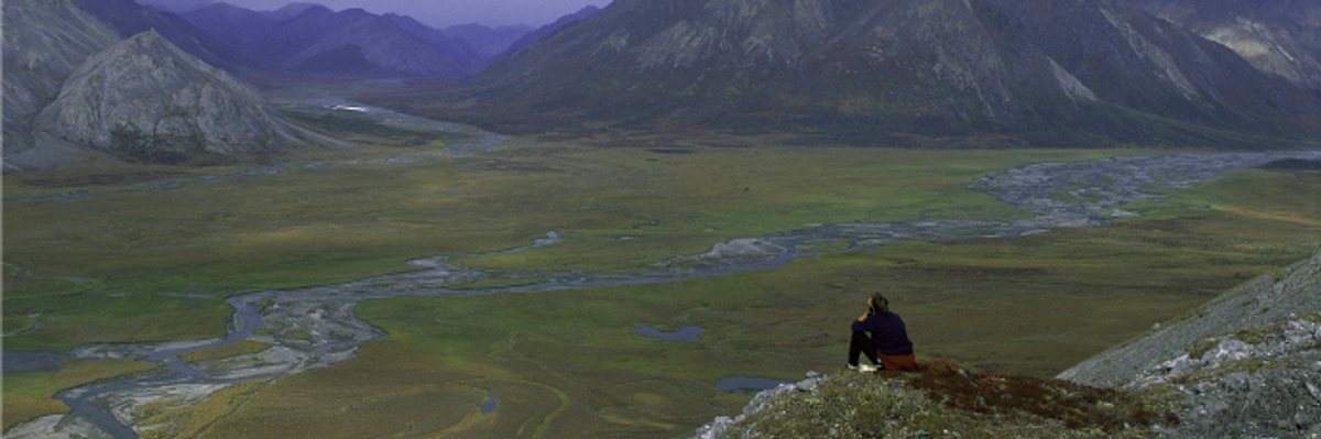 Senate Republicans (and One Democrat) Team Up to Open Arctic to Big Oil Plunder