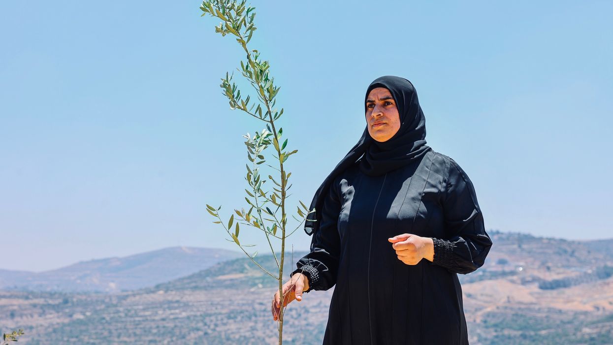 Woman in West Bank planting a tree.