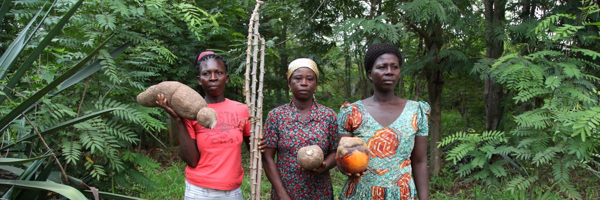 Women from Abrono Organic Farming Project (ABOFAP) showcase their seeds near Techiman, Ghana.