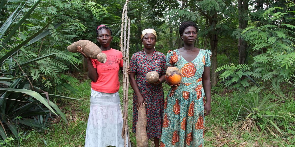 Abro Media Abro Media