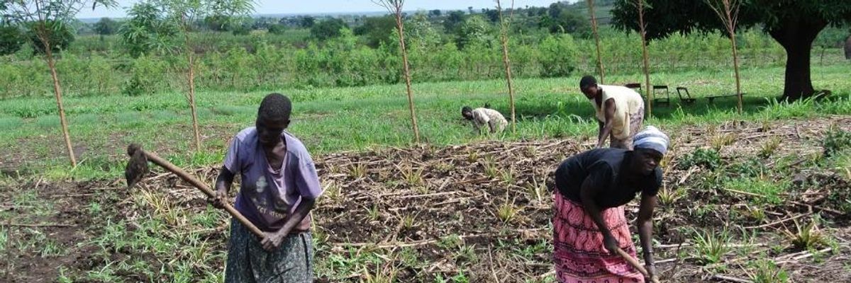 New Study Details Overlooked Link Between Climate Breakdown and Violence Against Women