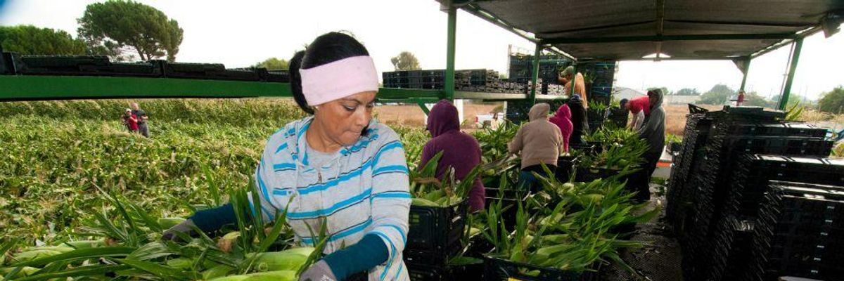 After Decades of Discrimination, Farm Workers Get Pesticide Protections