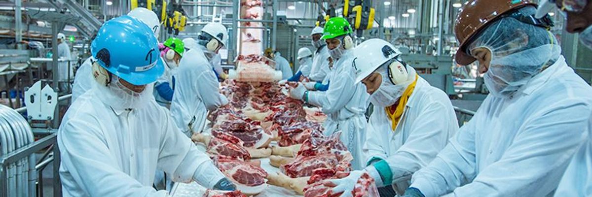 'Dirty and Dangerous': New Data Show Higher Rates of Contamination in Pork Plants Using New Slaughter System