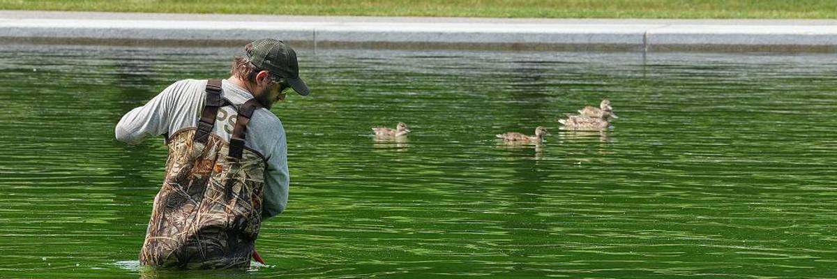 Workers push algae toward center of Reflecting Pool.
