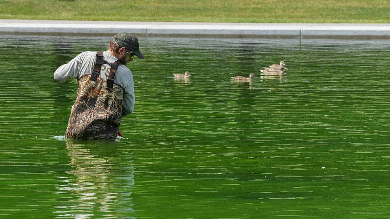 Workers push algae toward center of Reflecting Pool.
