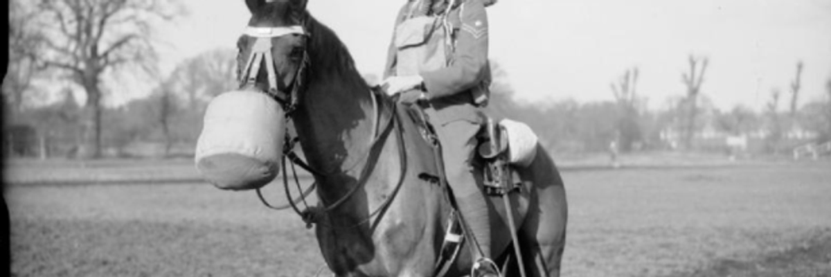 Humanity Is Riding Delusion to Extinction