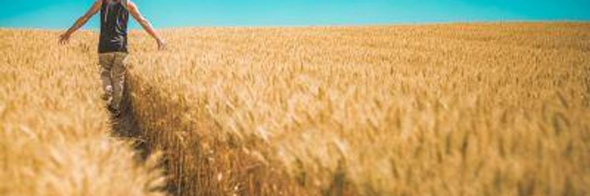 New Study Confirms: Degenerative Food & Farming System Poses Mortal Threat