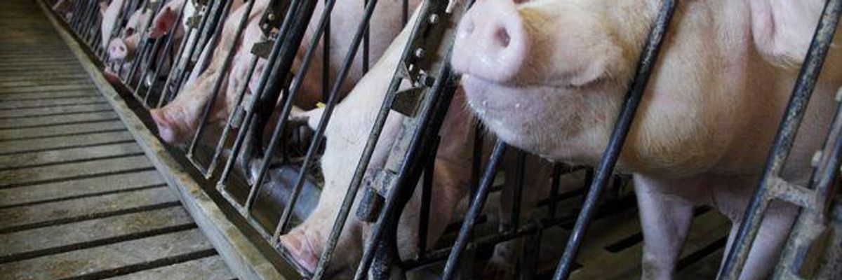 Do Corporate Media Need to Lie to Promote Trade Deals?