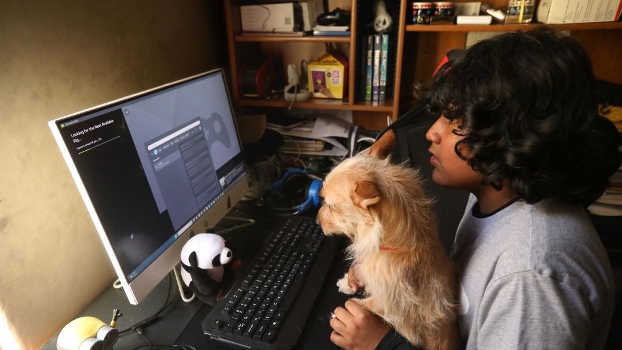 Young boy and his dog looking at internet on a computer