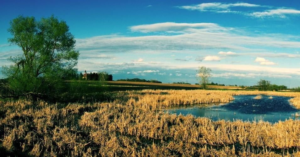 Trump Rollback of Key EPA Water Protection Rule Denounced as 'Callous' and 'Immoral' Giveaway to Big Polluters - Common Dreams