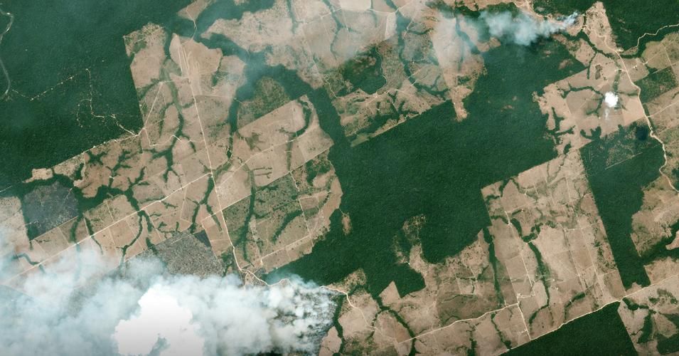 Views Of Destruction Satellite Images Reveal Devastating Amazon Fires In Almost Real Time Views Of Destruction Satellite Images Reveal Devastating Amazon Fires In Almost Real Time