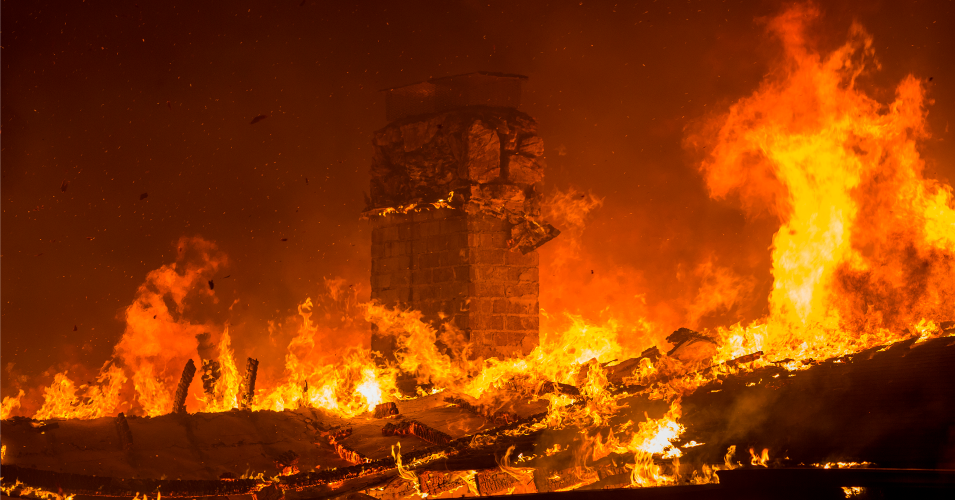 Global Poll Reveals Surging Fear of Climate Crisis and US Power Under Trump