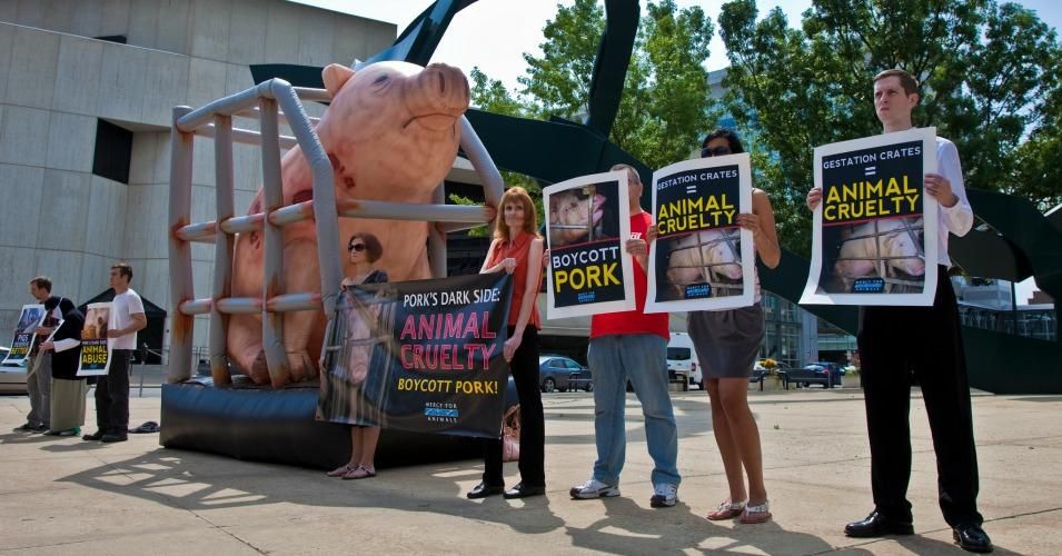 Accused Of Terrorism Animal Rights Activists Head To Federal Court Common Dreams News