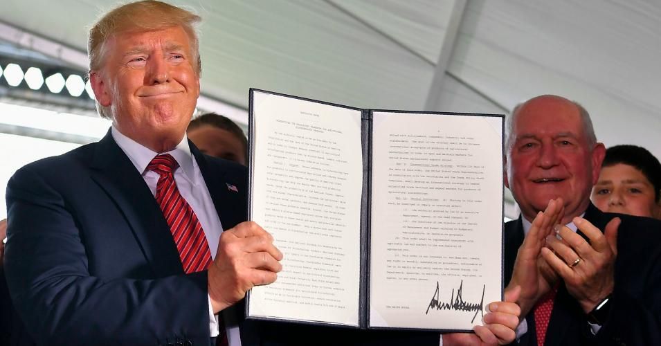 'What Cruelty Looks Like': Trump Finalizes Plan to Strip Food Aid From 750,000 Low-Income People by 2020