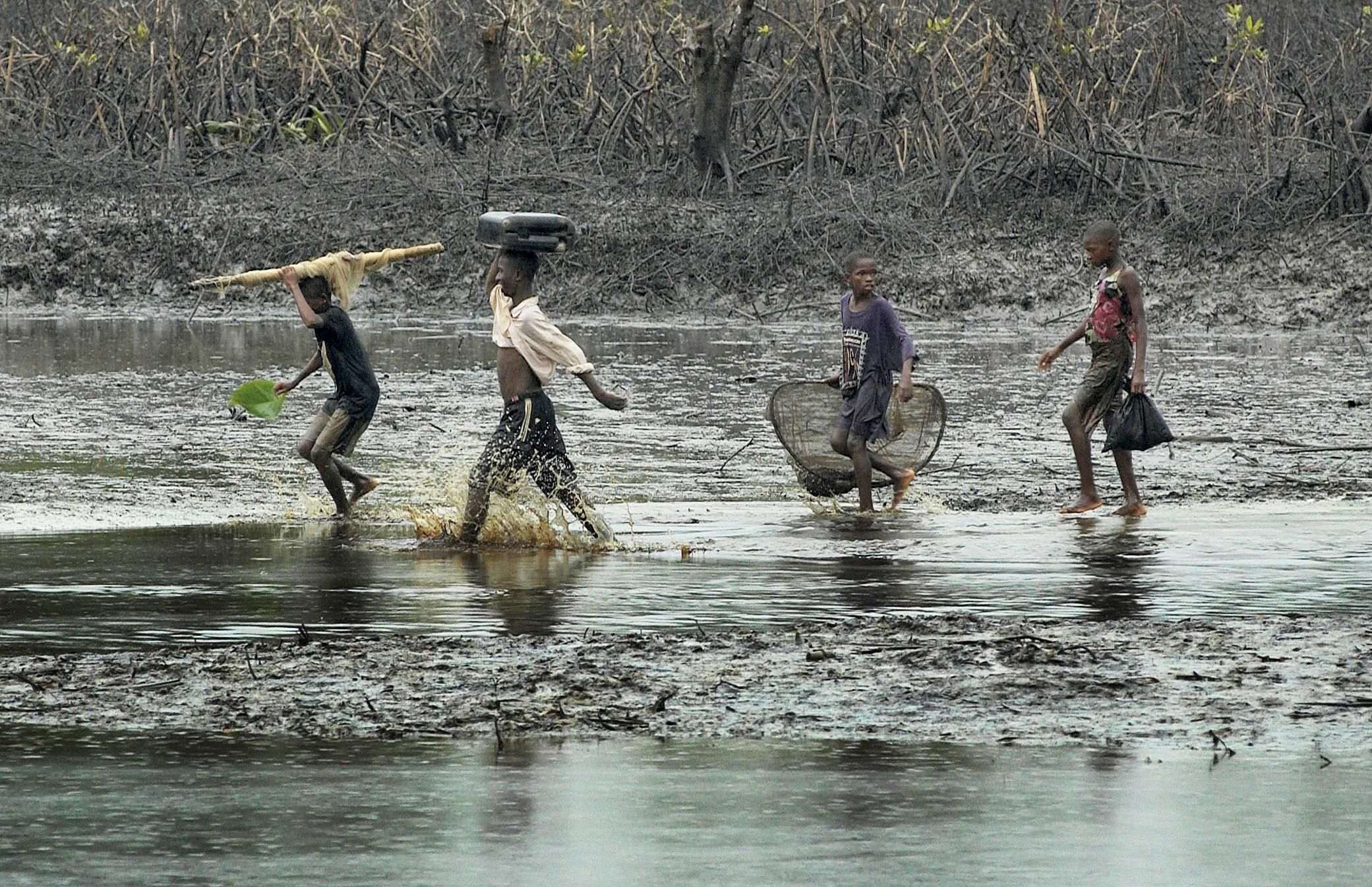 children walk through oil-covered mangrove