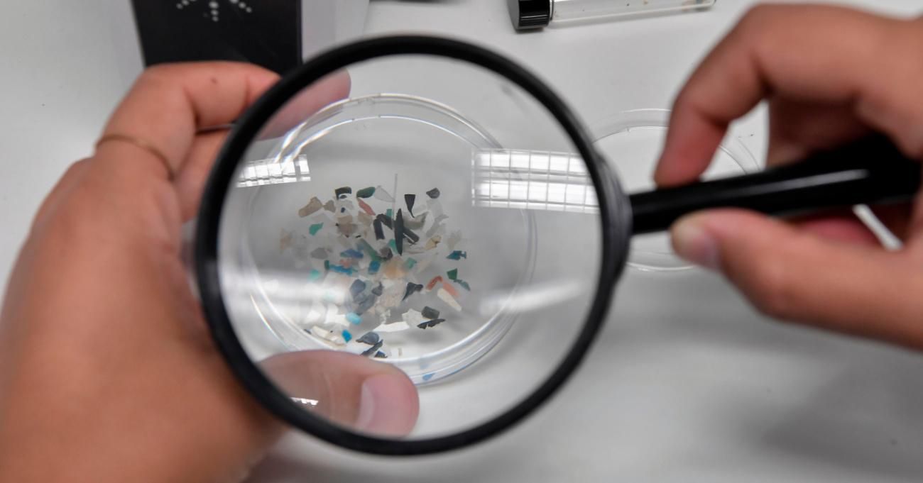 A researcher looks at microplastics through a magnifying glass.