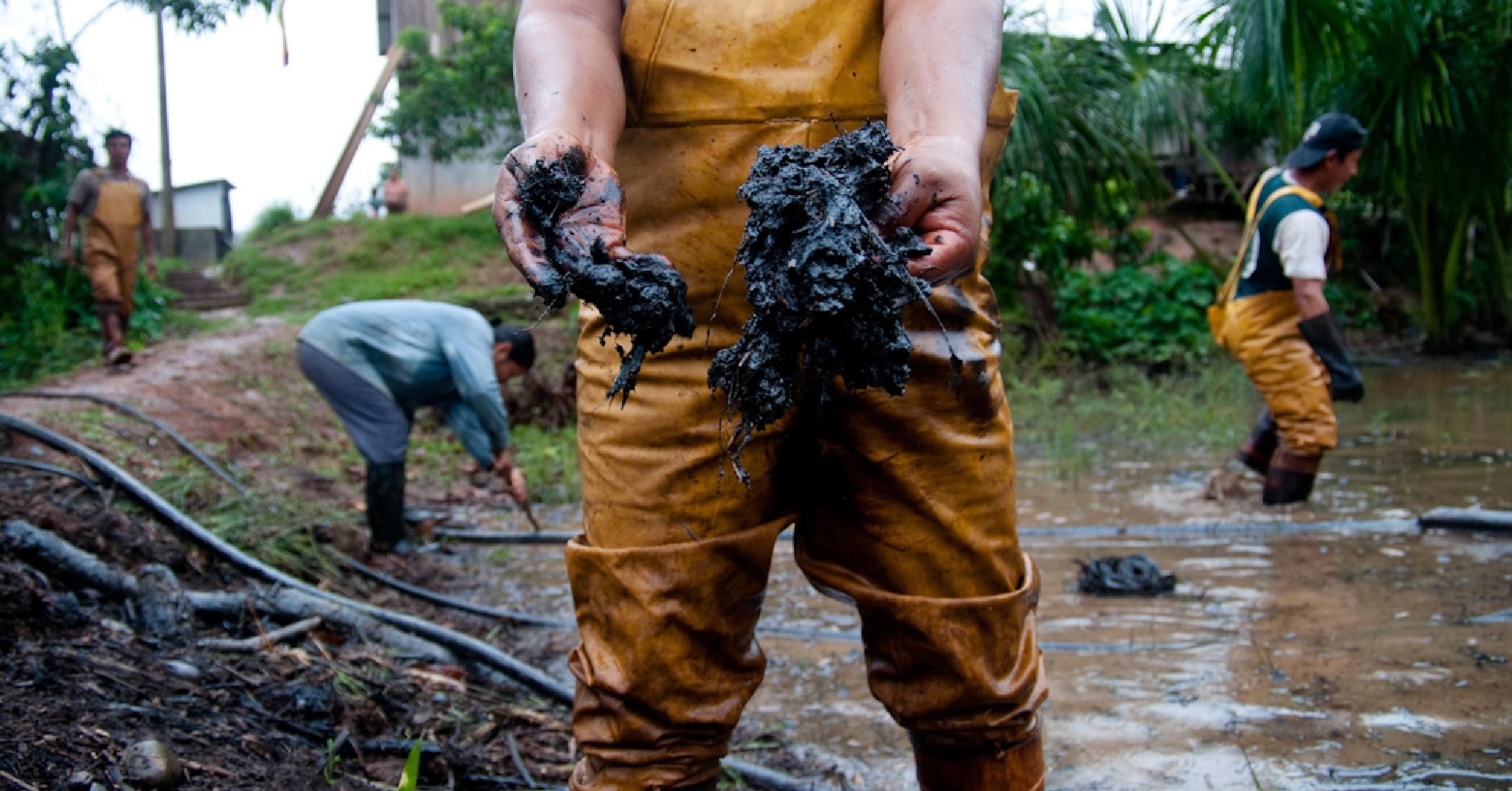 oil spill in the amazon rainforest