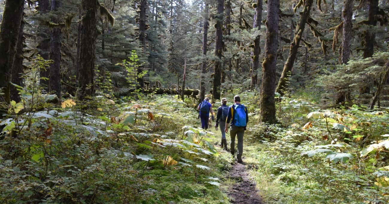 Hikers in Tongass National Forest