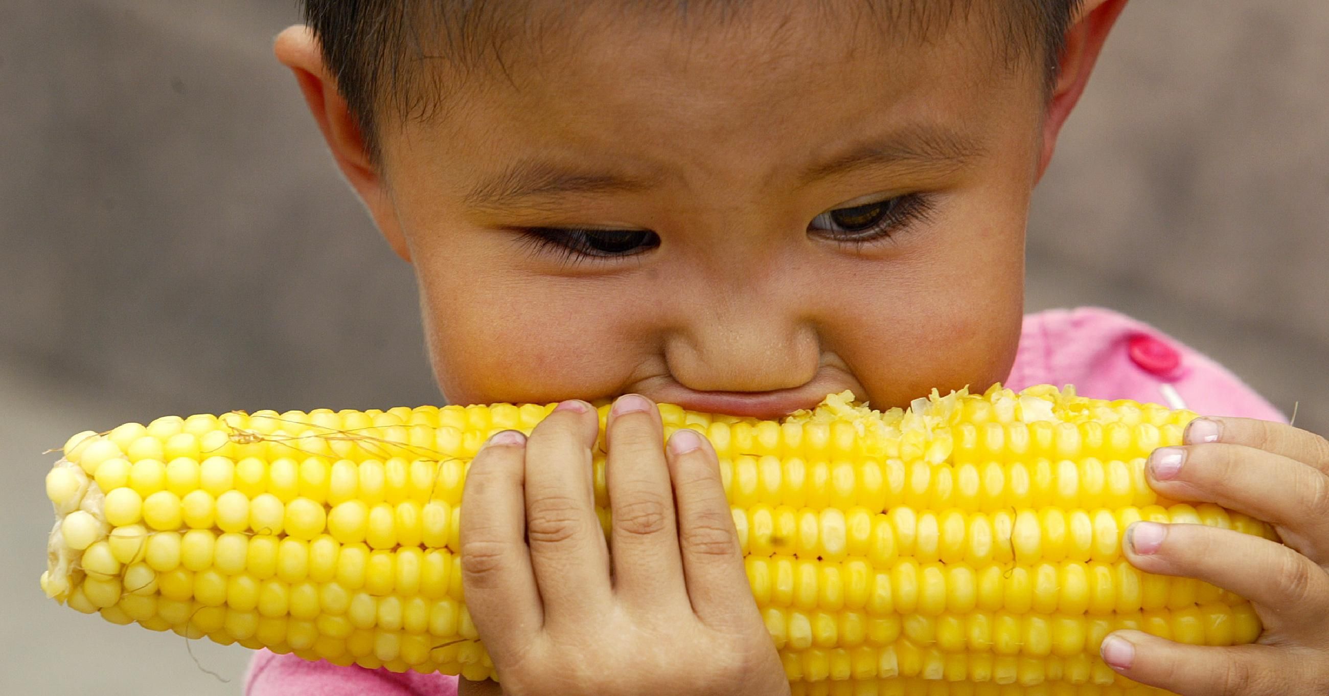 child eating corn