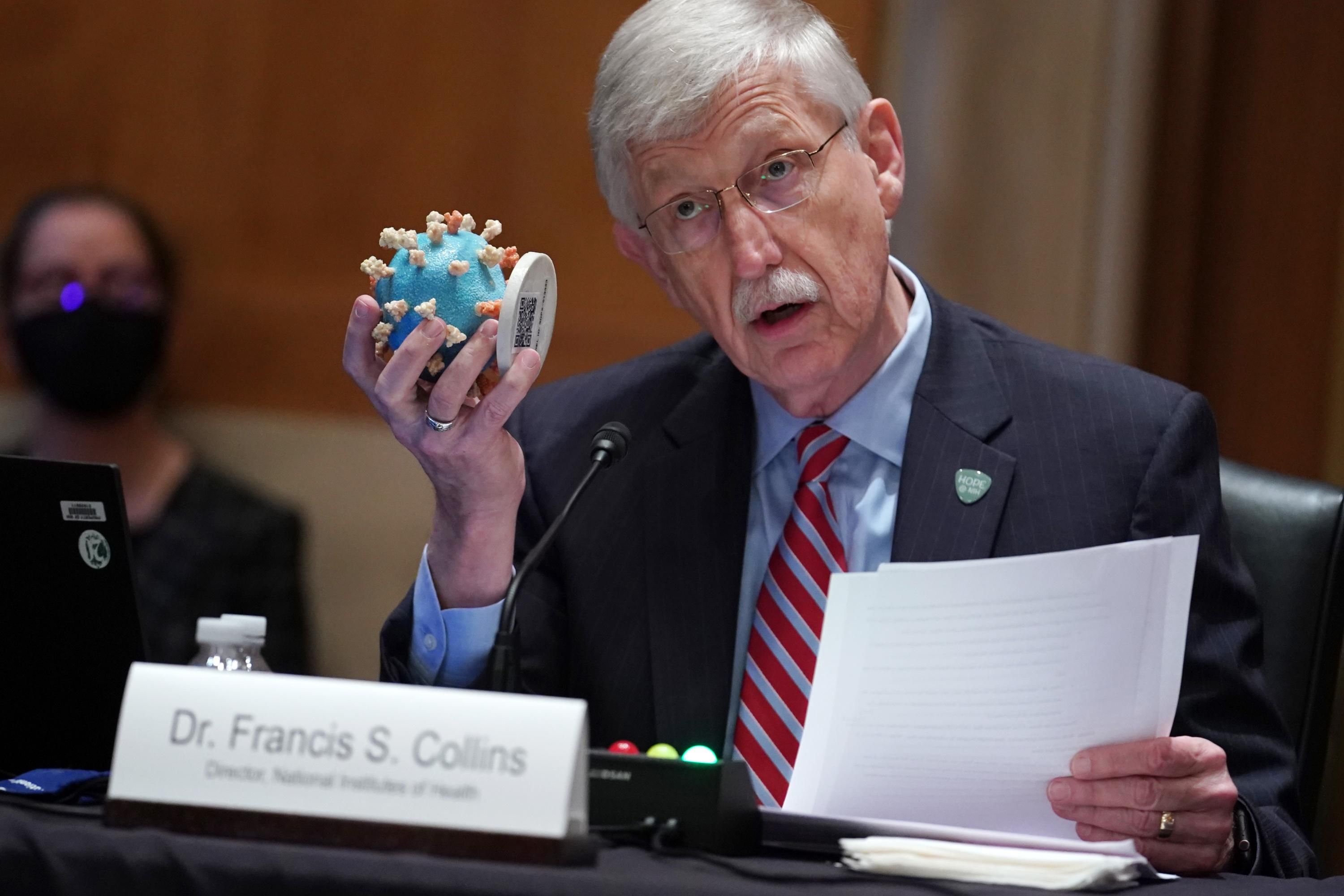 NIH Director Dr. Francis Collins speaks during a Senate hearing.