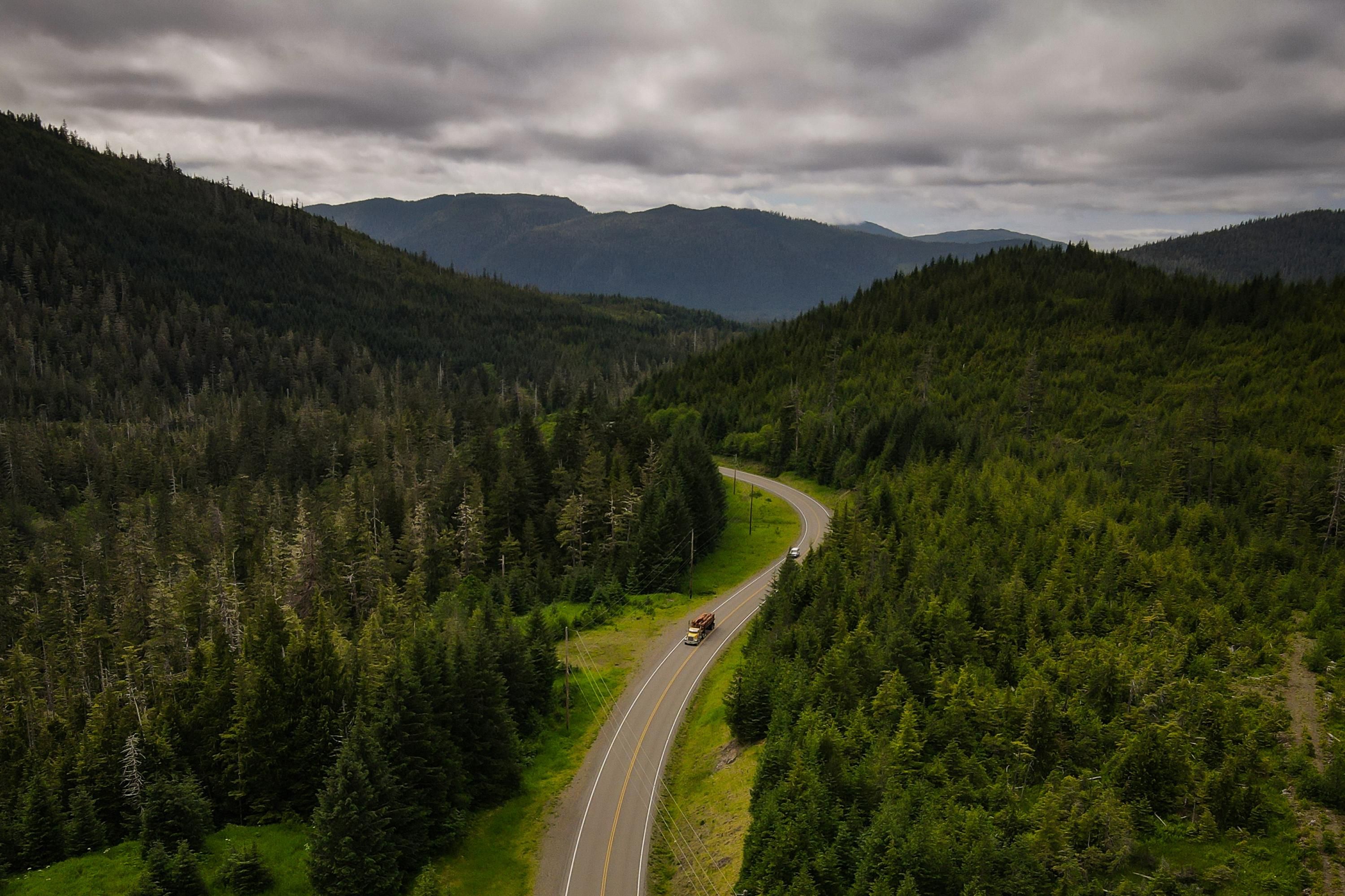 tongass_forest-1