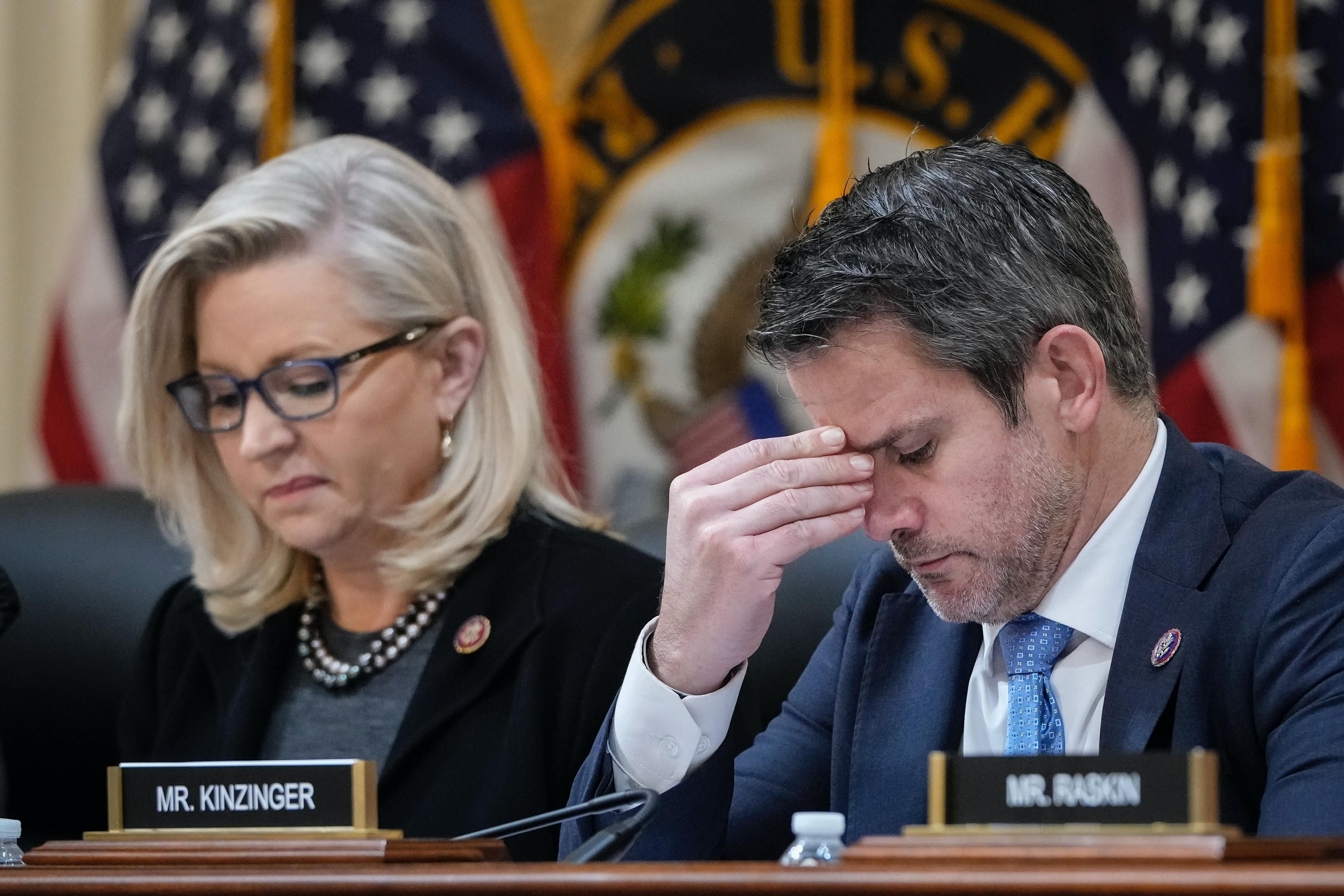 RNC censure Cheney Kinzinger 
