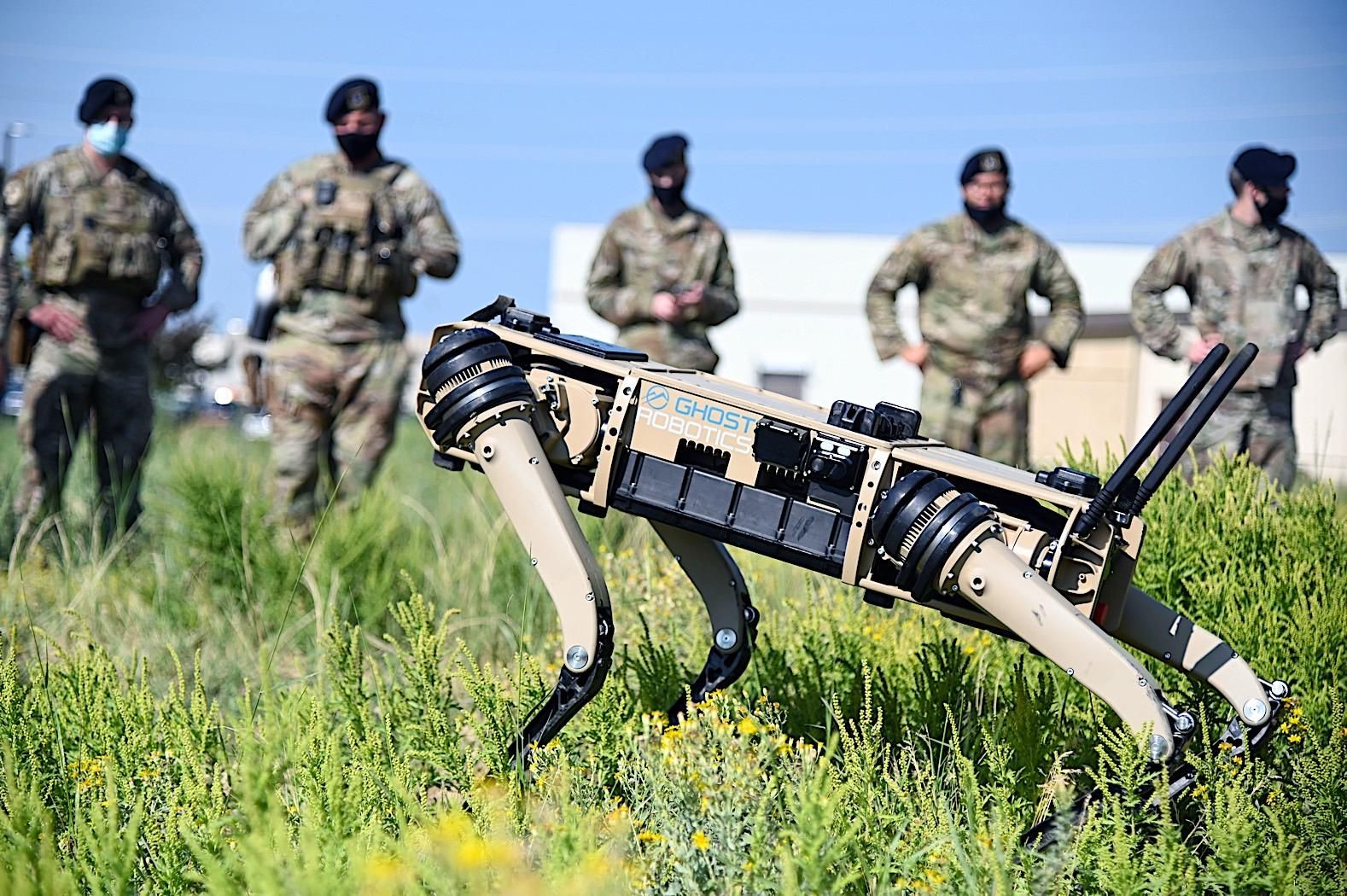 Robodog