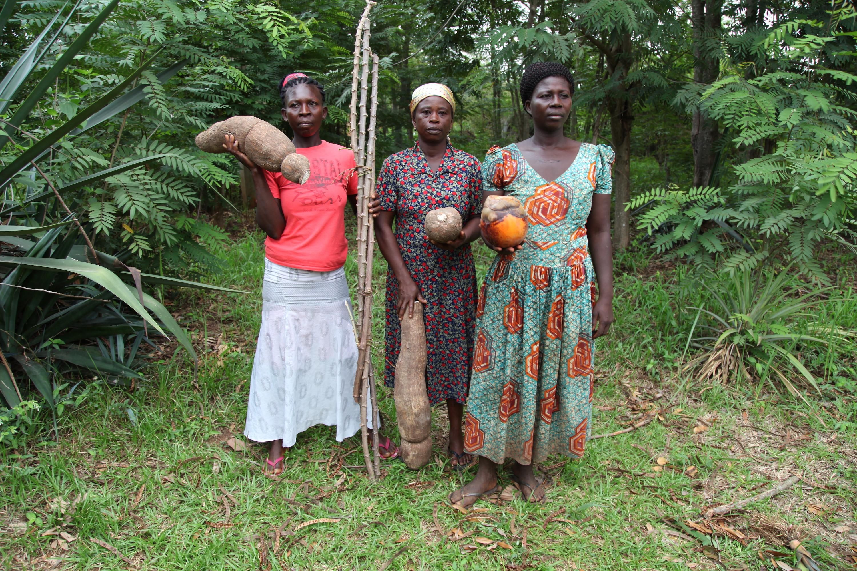  Women from Abrono Organic Farming Project (ABOFAP) showcase their seeds near Techiman, Ghana.